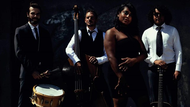 Ayesha and Friends akoestische achtergrondmuziek Ayesha and Friends akoestische achtergrondmuziek