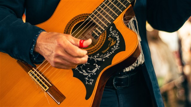 Zanger Gitarist Ricco mobiele band actfoto