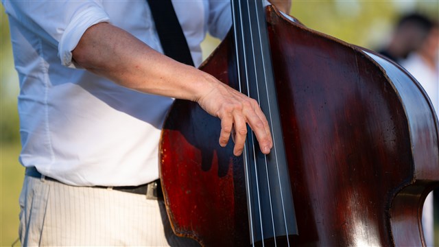 B-Bops live muziek in een natuurgebied actfoto