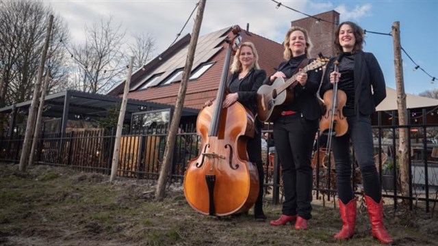 Jennys Roses akoestische achtergrondmuziek