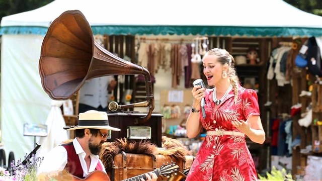 Traveling Tunes arnhemse bands