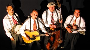 The Oldies - Gasterij De Zwaantjes St. Michielsgestel voor feest, bruiloft en evenement